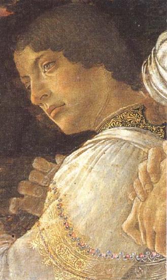 Sandro Botticelli Young kneeling mago china oil painting image
